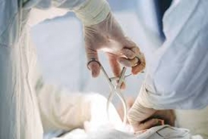 Լուսահովիտի համայնքապետի ոտքն անդամահատել են. բժիշկները պայքարում են նրա կյանքը փրկելու համար